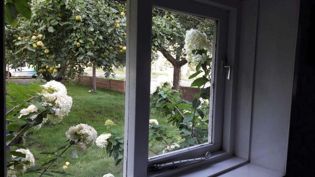 Riley'S Cottage Hemrik المظهر الخارجي الصورة